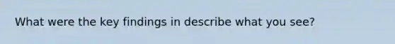 What were the key findings in describe what you see?