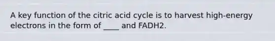 A key function of the citric acid cycle is to harvest high-energy electrons in the form of ____ and FADH2.