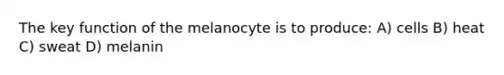 The key function of the melanocyte is to produce: A) cells B) heat C) sweat D) melanin