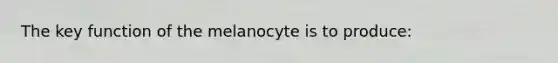 The key function of the melanocyte is to produce: