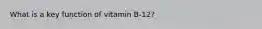 What is a key function of vitamin B-12?