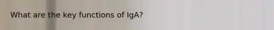 What are the key functions of IgA?