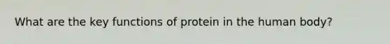 What are the key functions of protein in the human body?