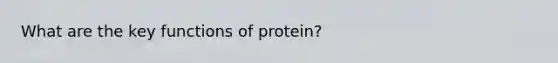 What are the key functions of protein?