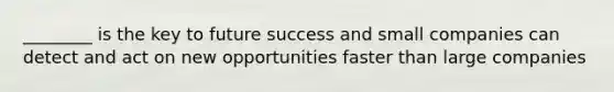 ________ is the key to future success and small companies can detect and act on new opportunities faster than large companies