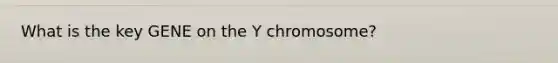 What is the key GENE on the Y chromosome?