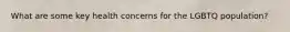 What are some key health concerns for the LGBTQ population?