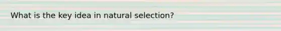 What is the key idea in natural selection?