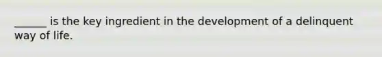 ______ is the key ingredient in the development of a delinquent way of life.