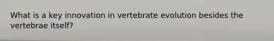 What is a key innovation in vertebrate evolution besides the vertebrae itself?