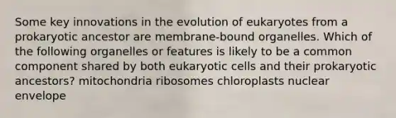 Some key innovations in the evolution of eukaryotes from a prokaryotic ancestor are membrane-bound organelles. Which of the following organelles or features is likely to be a common component shared by both eukaryotic cells and their prokaryotic ancestors? mitochondria ribosomes chloroplasts nuclear envelope