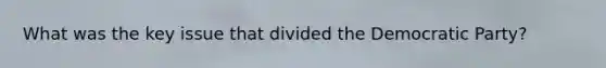 What was the key issue that divided the Democratic Party?