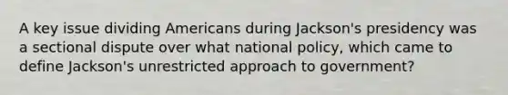 A key issue dividing Americans during Jackson's presidency was a sectional dispute over what national policy, which came to define Jackson's unrestricted approach to government?