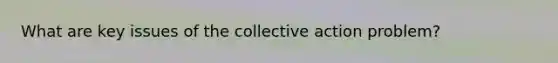 What are key issues of the collective action problem?