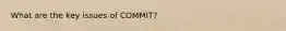 What are the key issues of COMMIT?