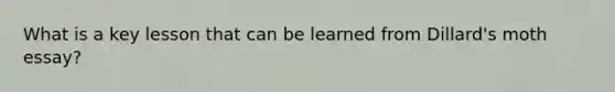 What is a key lesson that can be learned from Dillard's moth essay?