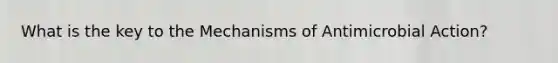 What is the key to the Mechanisms of Antimicrobial Action?