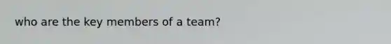 who are the key members of a team?