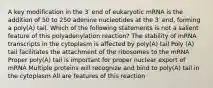 A key modification in the 3′ end of eukaryotic mRNA is the addition of 50 to 250 adenine nucleotides at the 3′ end, forming a poly(A) tail. Which of the following statements is not a salient feature of this polyadenylation reaction? The stability of mRNA transcripts in the cytoplasm is affected by poly(A) tail Poly (A) tail facilitates the attachment of the ribosomes to the mRNA Proper poly(A) tail is important for proper nuclear export of mRNA Multiple proteins will recognize and bind to poly(A) tail in the cytoplasm All are features of this reaction