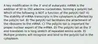 A key modification in the 3' end of eukaryotic mRNA is the addition of 50 to 250 adenine nucleotides, forming a poly(A) tail. Which of the following is NOT a function of the poly(A) tail? A) The stability of mRNA transcripts in the cytoplasm is affected by the poly(A) tail. B) The poly(A) tail facilitates the attachment of the ribosome to the mRNA. C) The poly(A) tail is important for proper nuclear export of the mRNA. D) The poly(A) tail at the 3' end translates to a long stretch of repeated amino acids. E) Multiple proteins will recognize and bind to the poly(A) tail in the cytoplasm.