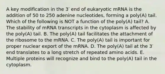 A key modification in the 3′ end of eukaryotic mRNA is the addition of 50 to 250 adenine nucleotides, forming a poly(A) tail. Which of the following is NOT a function of the poly(A) tail? A. The stability of mRNA transcripts in the cytoplasm is affected by the poly(A) tail. B. The poly(A) tail facilitates the attachment of the ribosome to the mRNA. C. The poly(A) tail is important for proper nuclear export of the mRNA. D. The poly(A) tail at the 3′ end translates to a long stretch of repeated amino acids. E. Multiple proteins will recognize and bind to the poly(A) tail in the cytoplasm.