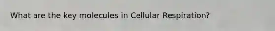 What are the key molecules in Cellular Respiration?