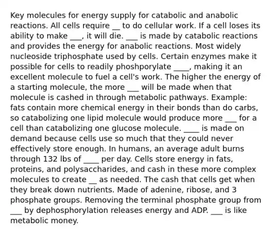 Key molecules for energy supply for catabolic and anabolic reactions. All cells require __ to do cellular work. If a cell loses its ability to make ___, it will die. ___ is made by catabolic reactions and provides the energy for anabolic reactions. Most widely nucleoside triphosphate used by cells. Certain enzymes make it possible for cells to readily phoshporylate ____, making it an excellent molecule to fuel a cell's work. The higher the energy of a starting molecule, the more ___ will be made when that molecule is cashed in through metabolic pathways. Example: fats contain more chemical energy in their bonds than do carbs, so catabolizing one lipid molecule would produce more ___ for a cell than catabolizing one glucose molecule. ____ is made on demand because cells use so much that they could never effectively store enough. In humans, an average adult burns through 132 lbs of ____ per day. Cells store energy in fats, proteins, and polysaccharides, and cash in these more complex molecules to create __ as needed. The cash that cells get when they break down nutrients. Made of adenine, ribose, and 3 phosphate groups. Removing the terminal phosphate group from ___ by dephosphorylation releases energy and ADP. ___ is like metabolic money.