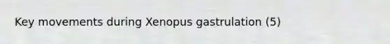 Key movements during Xenopus gastrulation (5)