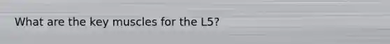 What are the key muscles for the L5?