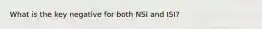 What is the key negative for both NSI and ISI?