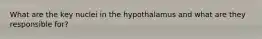 What are the key nuclei in the hypothalamus and what are they responsible for?