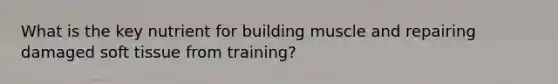 What is the key nutrient for building muscle and repairing damaged soft tissue from training?