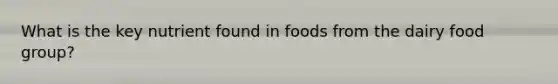 What is the key nutrient found in foods from the dairy food group?