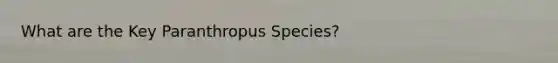 What are the Key Paranthropus Species?