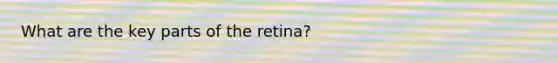 What are the key parts of the retina?