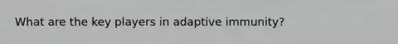 What are the key players in adaptive immunity?