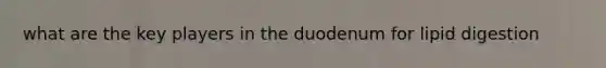 what are the key players in the duodenum for lipid digestion