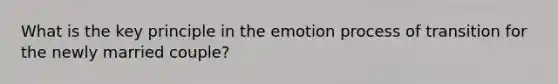 What is the key principle in the emotion process of transition for the newly married couple?