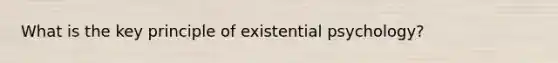 What is the key principle of existential psychology?