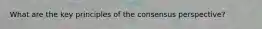 What are the key principles of the consensus perspective?