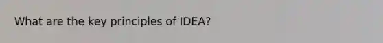 What are the key principles of IDEA?