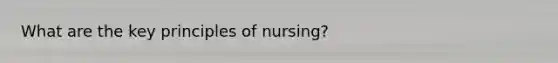 What are the key principles of nursing?