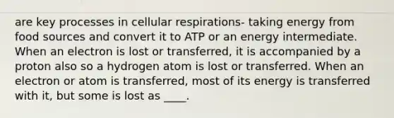 are key processes in cellular respirations- taking energy from food sources and convert it to ATP or an energy intermediate. When an electron is lost or transferred, it is accompanied by a proton also so a hydrogen atom is lost or transferred. When an electron or atom is transferred, most of its energy is transferred with it, but some is lost as ____.