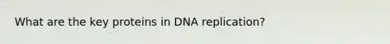 What are the key proteins in DNA replication?