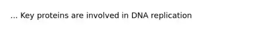 ... Key proteins are involved in DNA replication