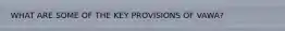 WHAT ARE SOME OF THE KEY PROVISIONS OF VAWA?