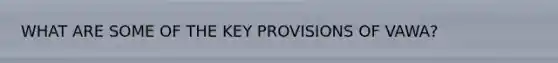 WHAT ARE SOME OF THE KEY PROVISIONS OF VAWA?