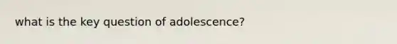 what is the key question of adolescence?