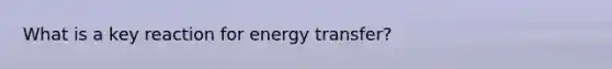 What is a key reaction for energy transfer?