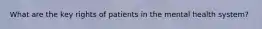 What are the key rights of patients in the mental health system?